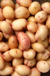 Photo of Raw potatoes in colander on table, top view