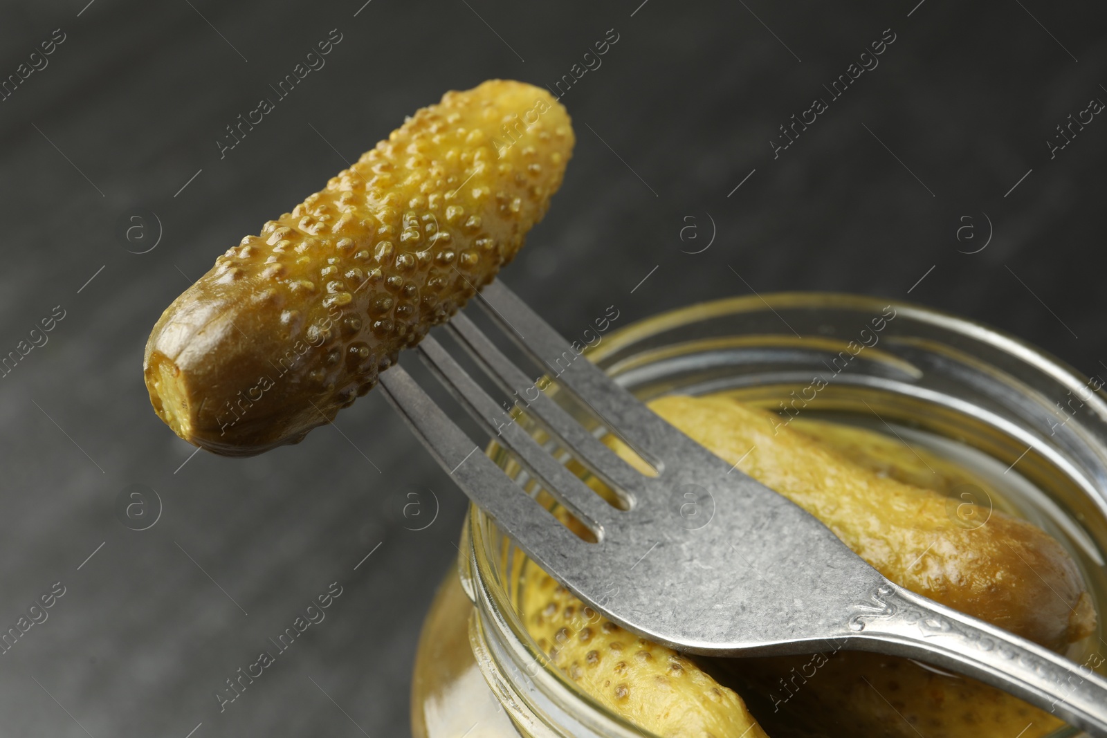 Photo of Fork with pickled cucumber on jar against grey background, closeup