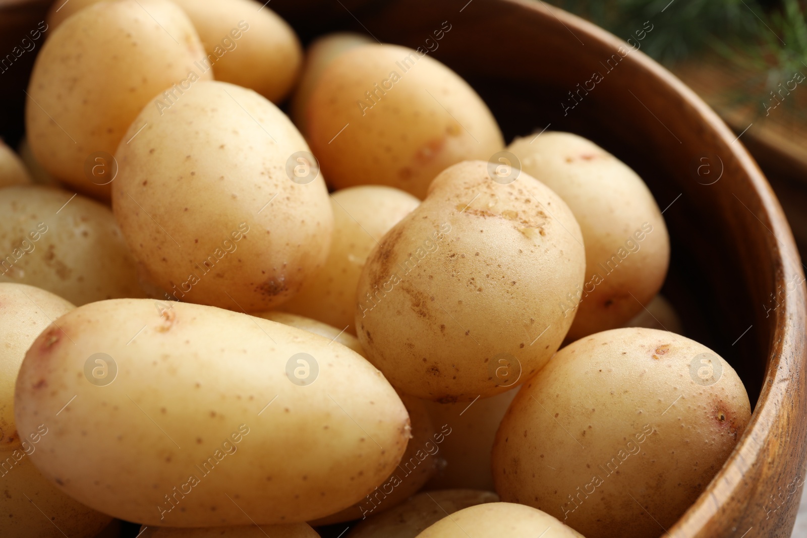 Photo of Tasty boiled potatoes in bowl, closeup view