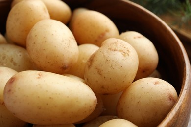 Tasty boiled potatoes in bowl, closeup view