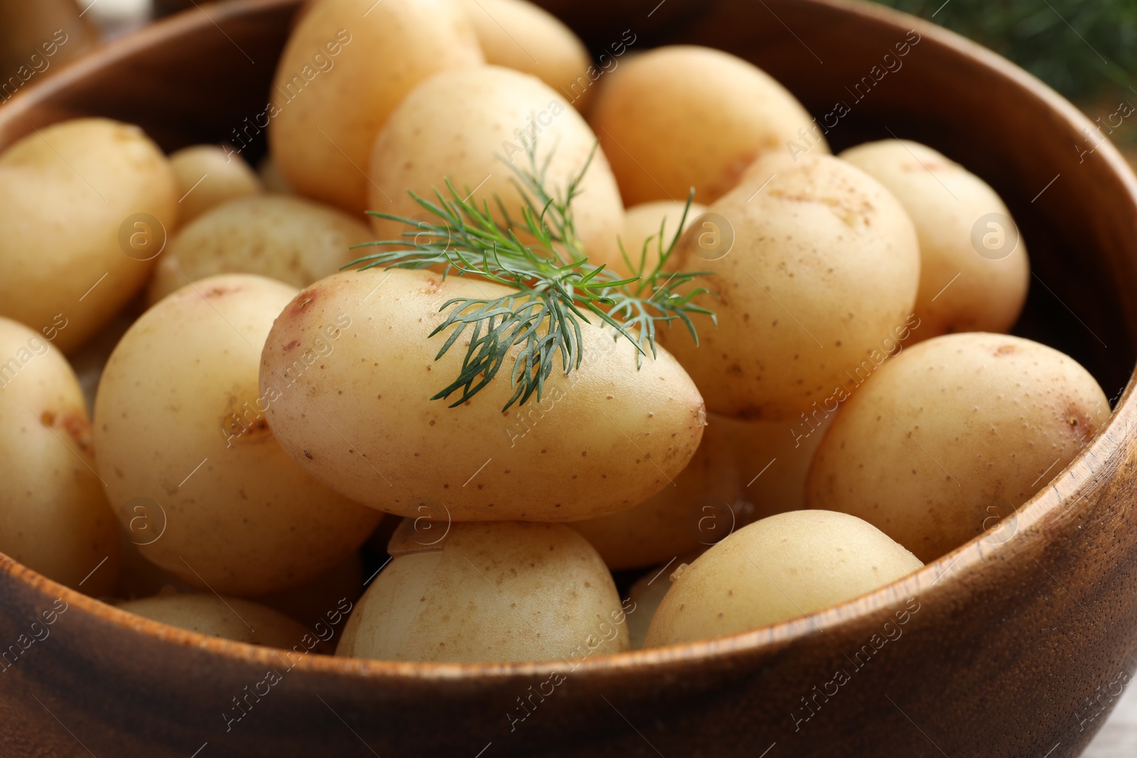 Photo of Boiled potatoes with dill in bowl, closeup