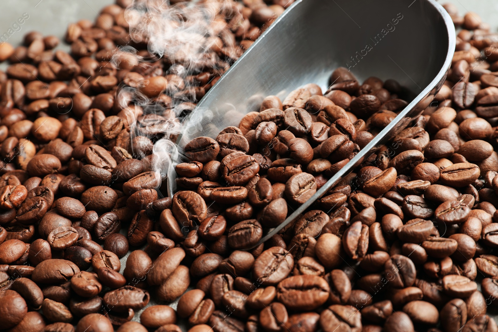 Image of Freshly roasted coffee beans and scoop as background, closeup