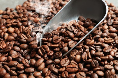 Freshly roasted coffee beans and scoop as background, closeup