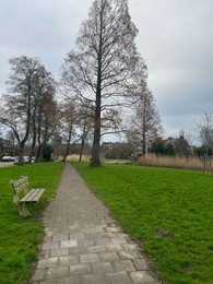 View of pathway with bench in park
