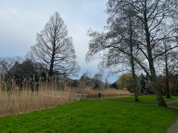 Photo of Beautiful trees and green grass near lake in park