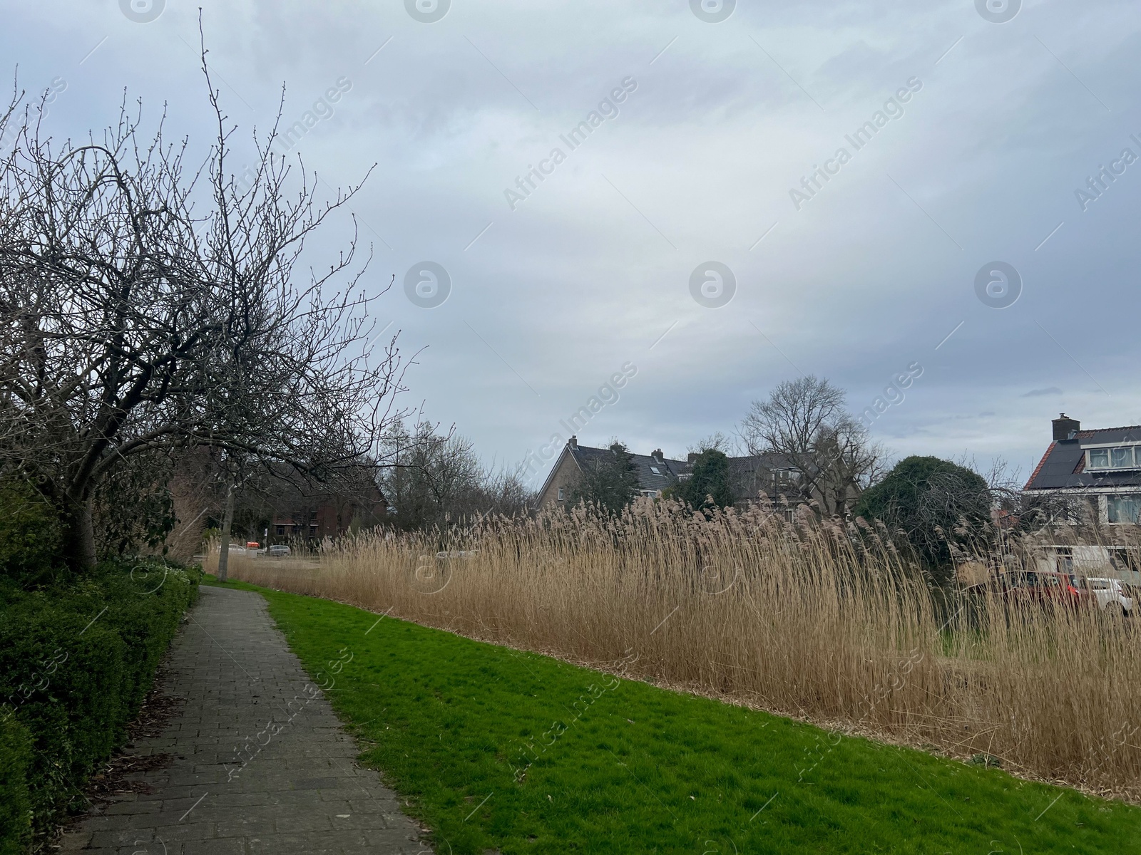 Photo of View of pathway near lake in park