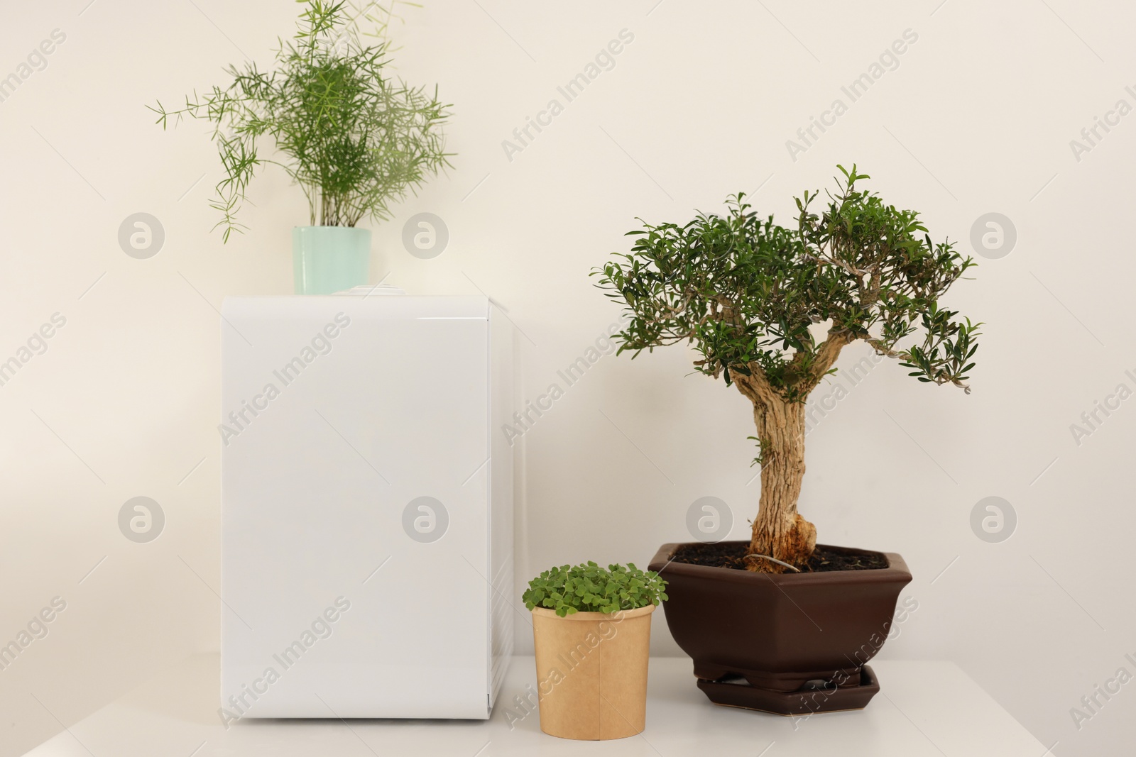 Photo of Modern air humidifier and houseplants on white table