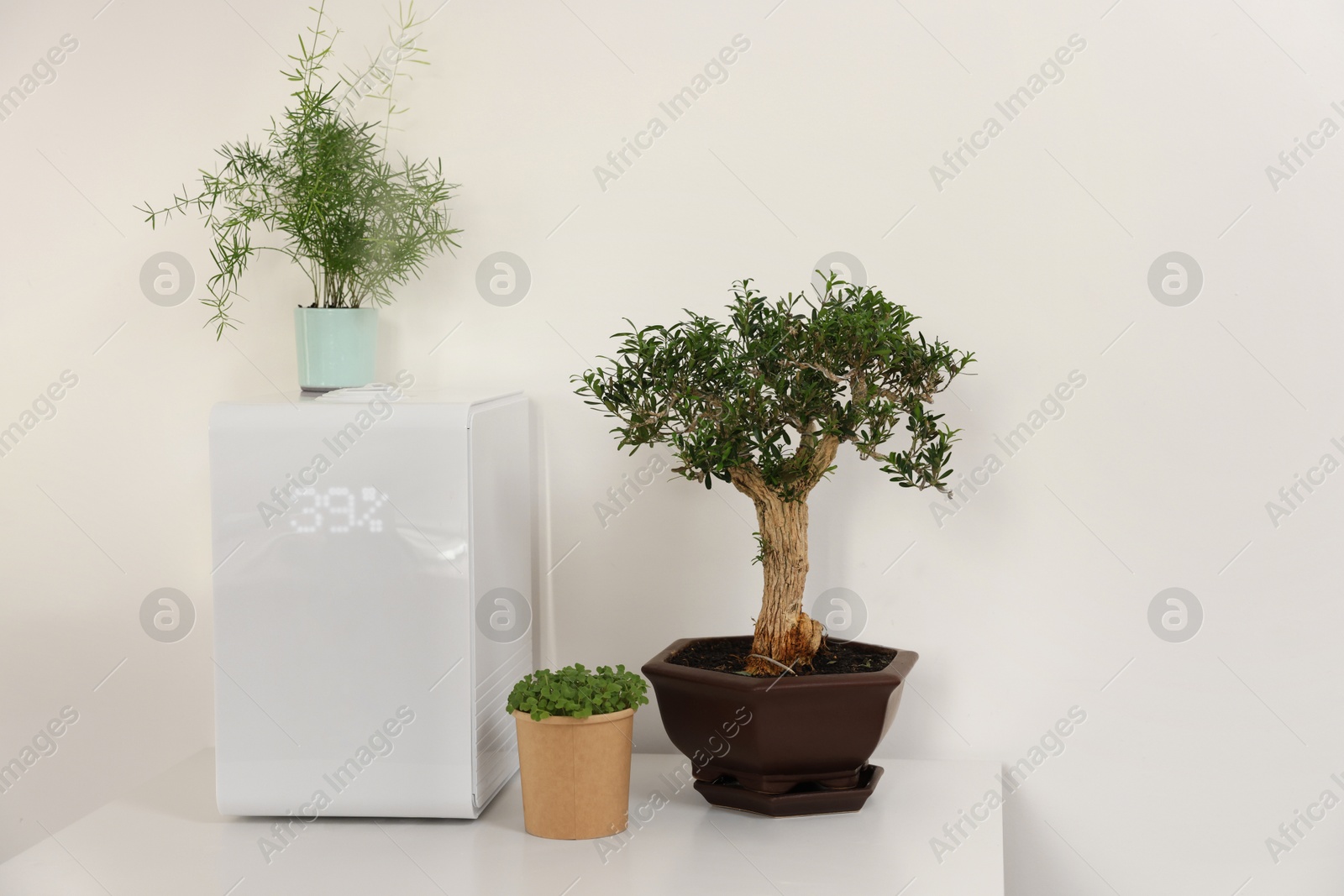 Photo of Modern air humidifier and houseplants on white table. Space for text