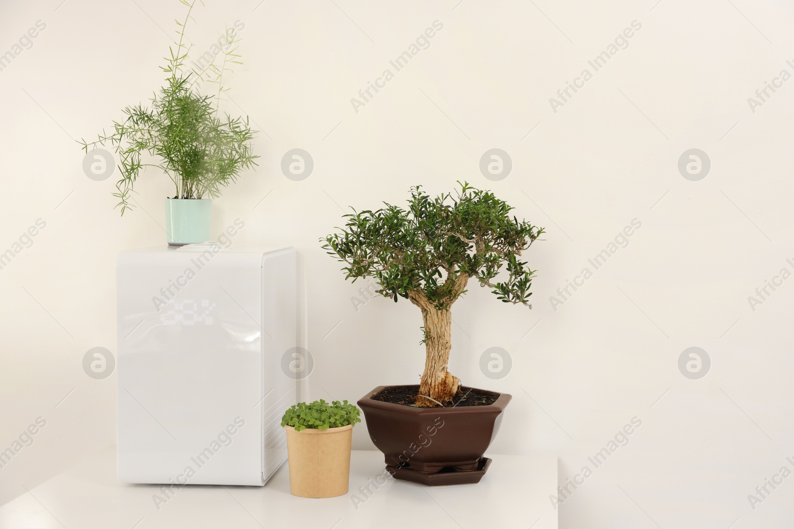 Photo of Modern air humidifier and houseplants on white table. Space for text