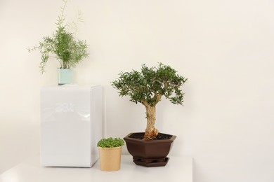 Modern air humidifier and houseplants on white table. Space for text