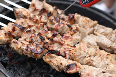 Photo of Measuring temperature of delicious kebab on metal brazier, closeup