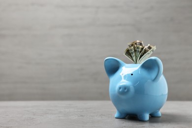 Light blue piggy bank with dollar banknotes on grey table, space for text