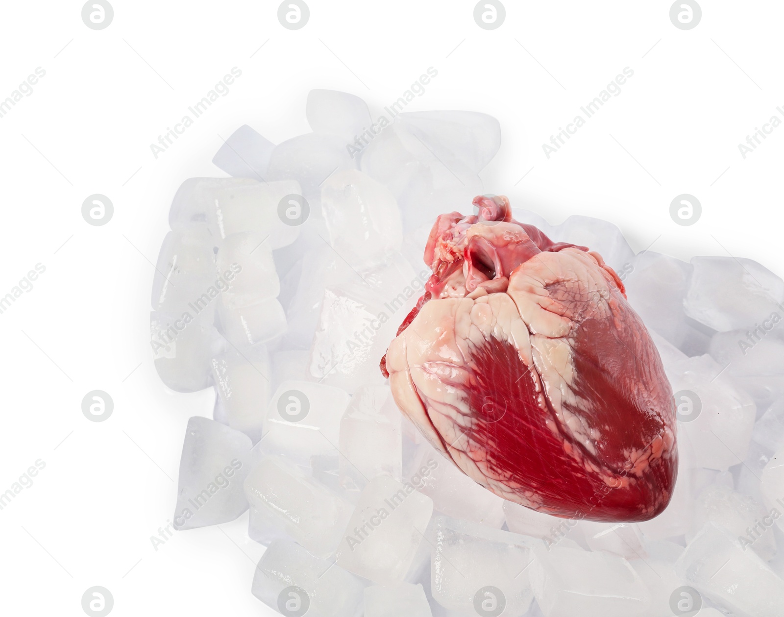 Photo of Heart and ice cubes on white background