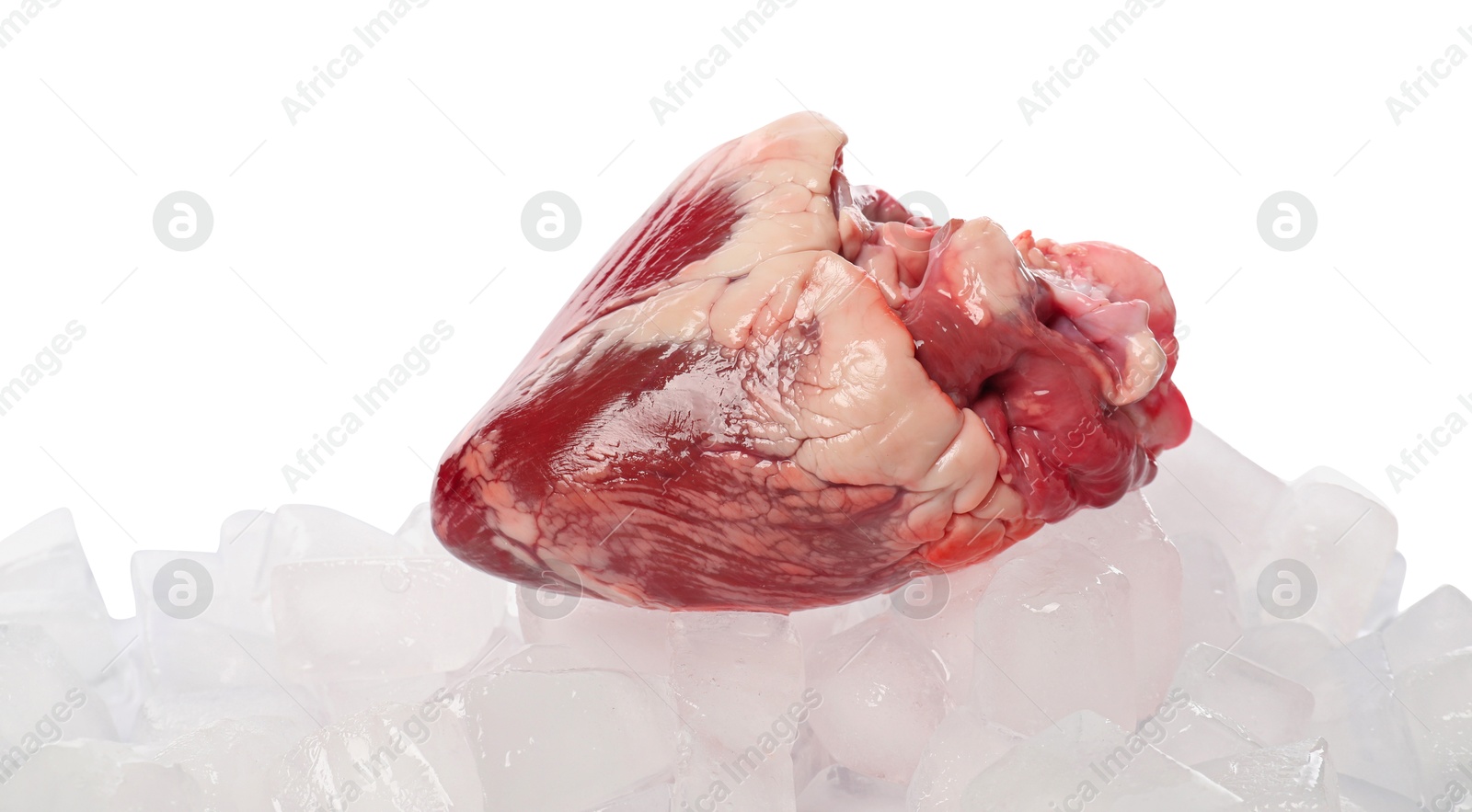 Photo of Heart with ice cubes on white background