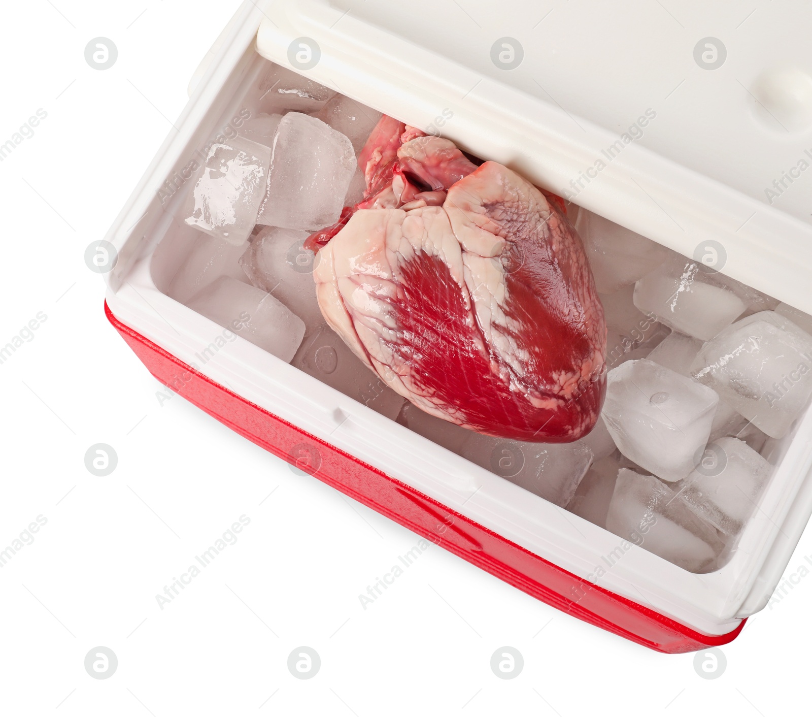 Photo of Heart with ice in fridge on white background, top view