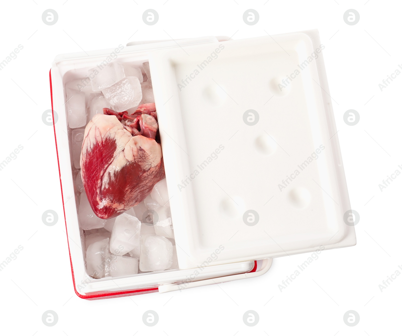 Photo of Heart with ice in fridge on white background, top view