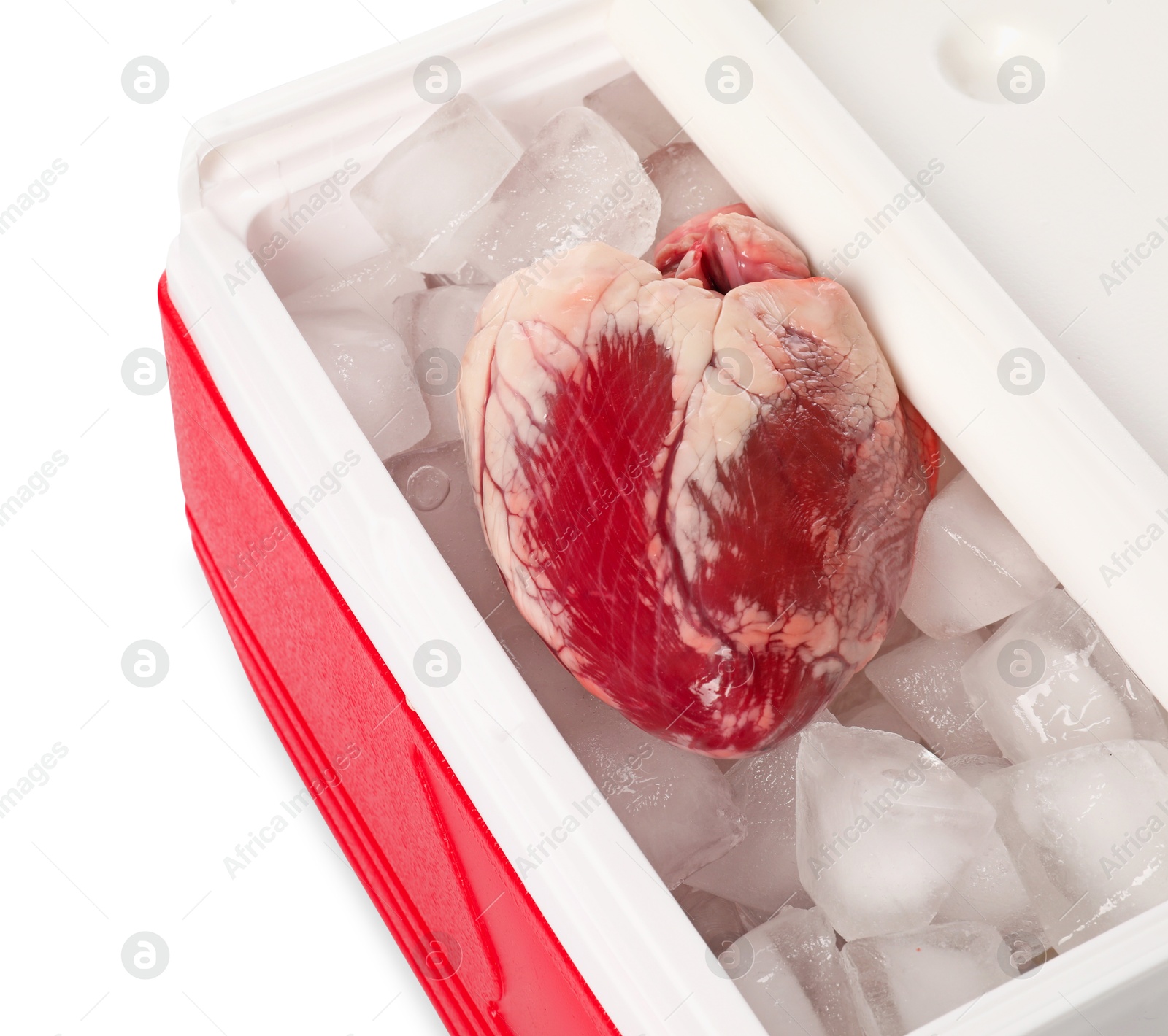 Photo of Heart with ice in cool box on white background