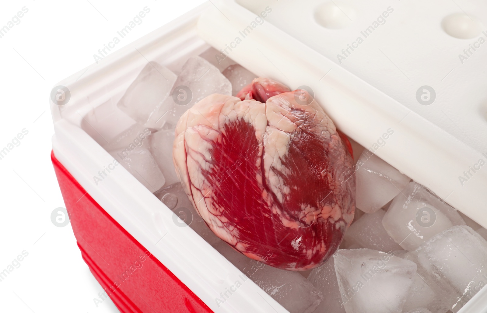 Photo of Heart with ice in cool box on white background