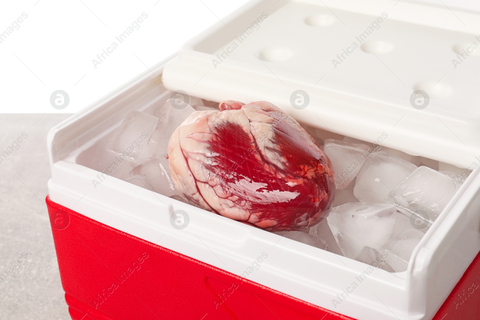 Photo of Heart with ice in cool box on table against white background