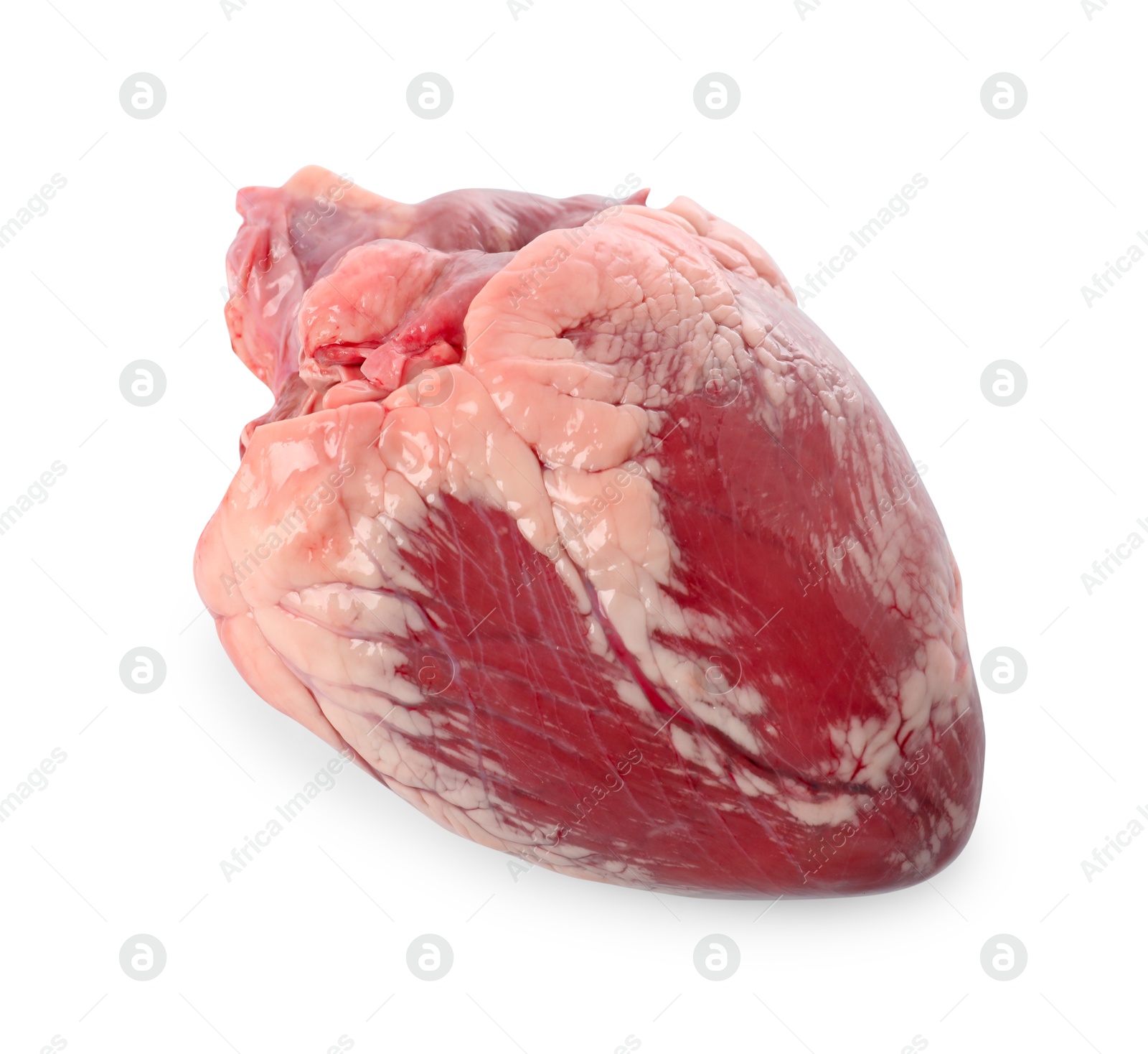 Photo of One raw pork heart isolated on white