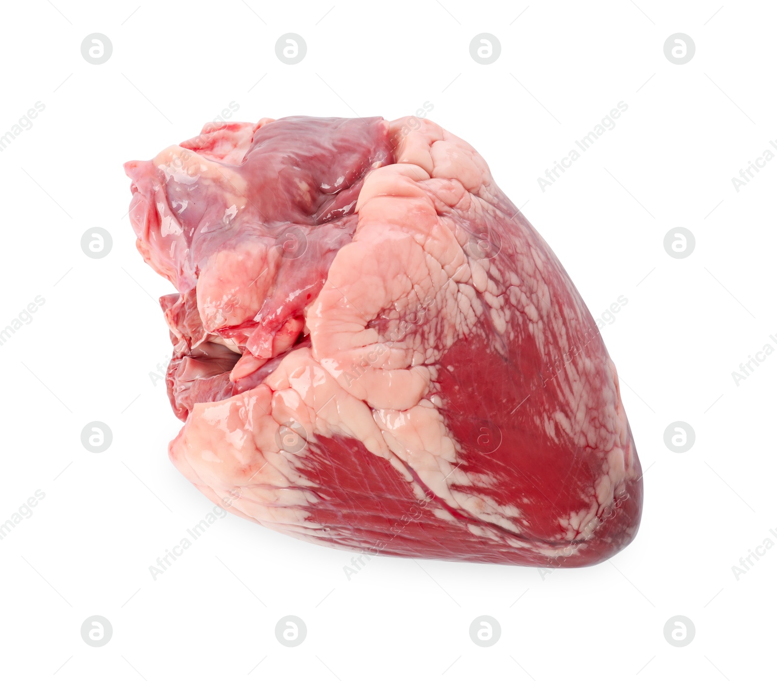 Photo of One raw pork heart isolated on white