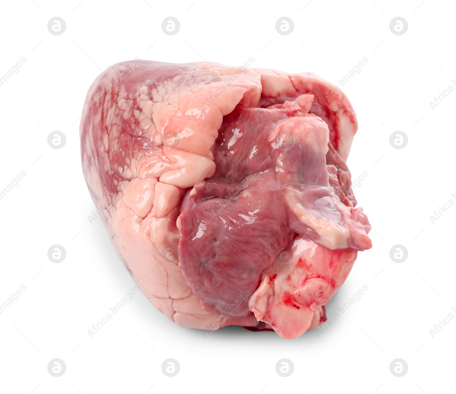 Photo of One raw pork heart isolated on white