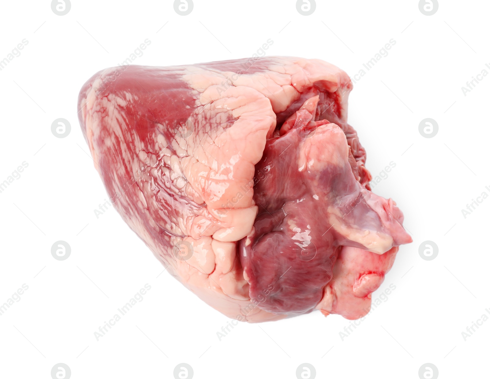 Photo of One raw pork heart isolated on white