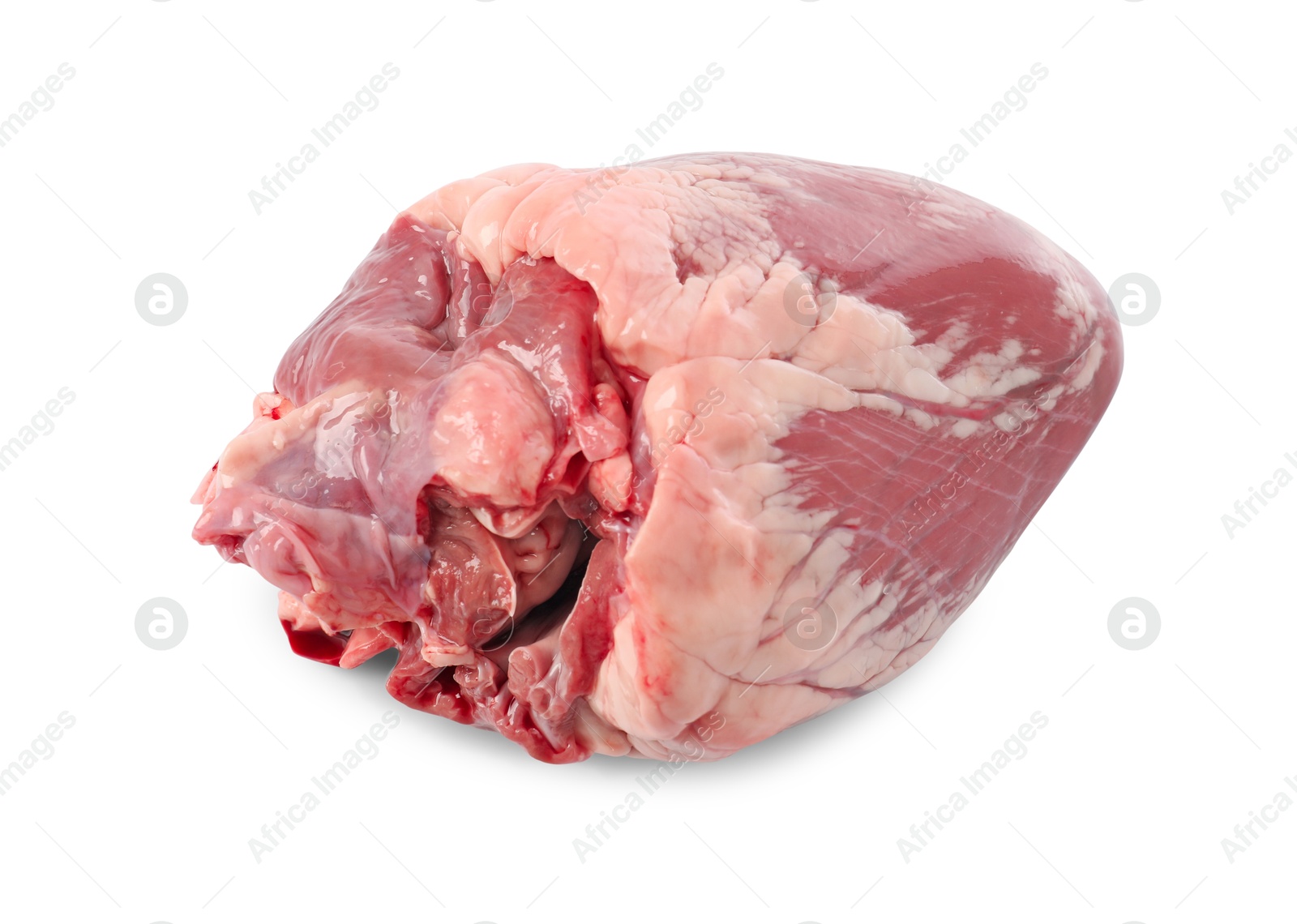 Photo of One raw pork heart isolated on white