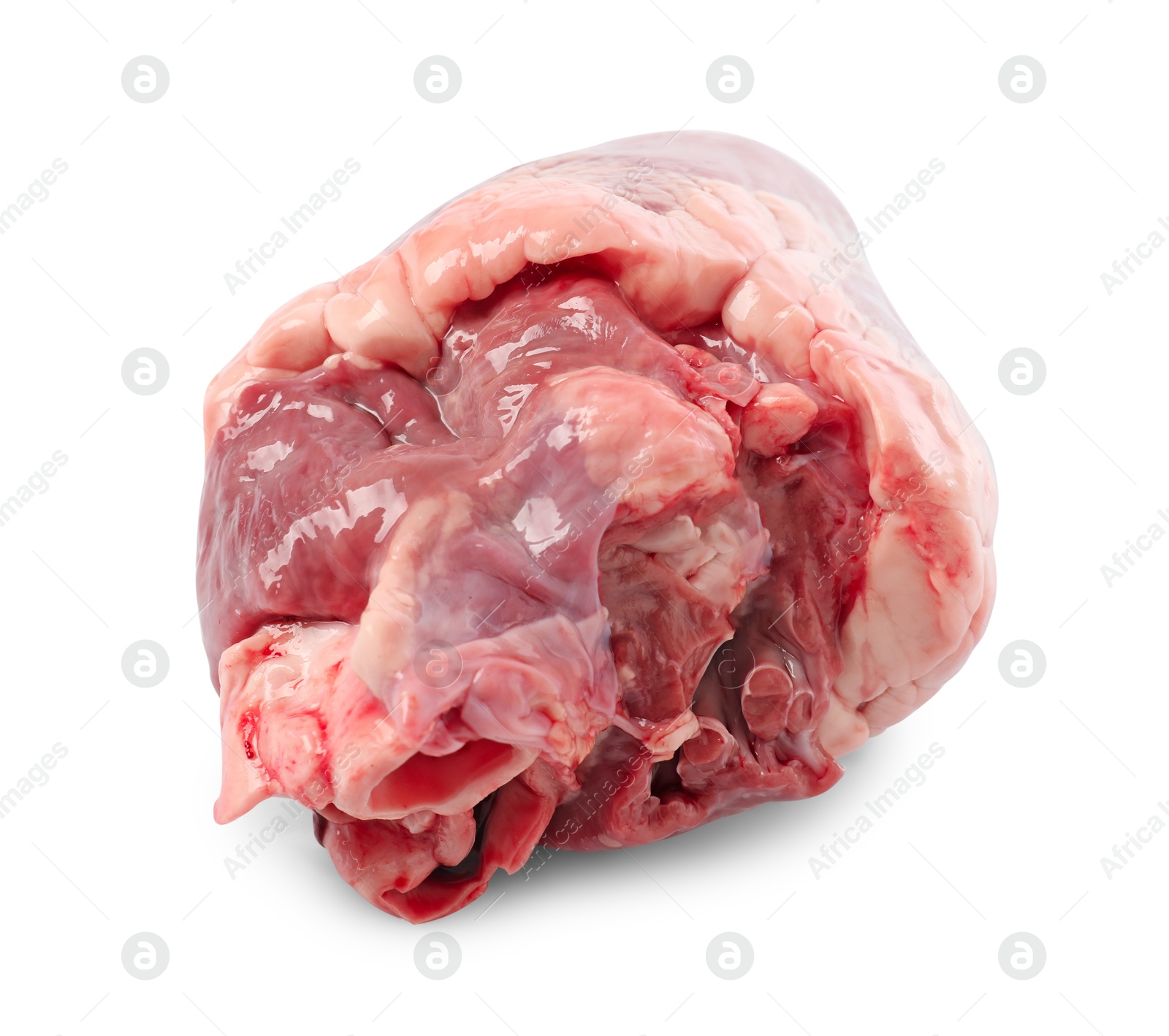 Photo of One raw pork heart isolated on white