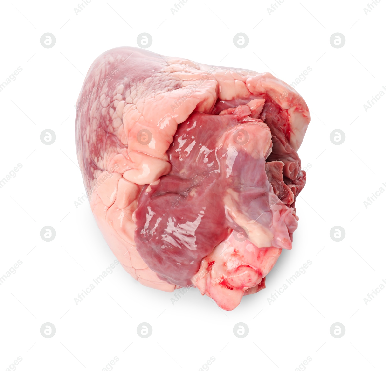 Photo of One raw pork heart isolated on white