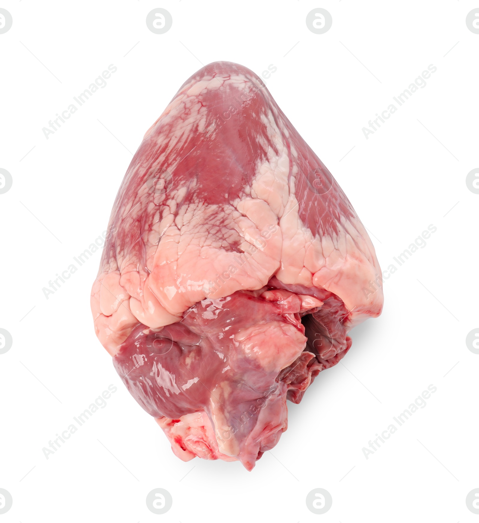 Photo of One raw pork heart isolated on white