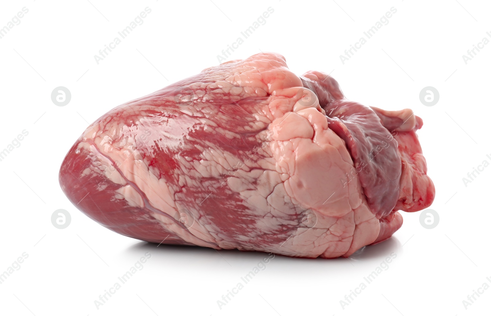 Photo of One raw pork heart isolated on white