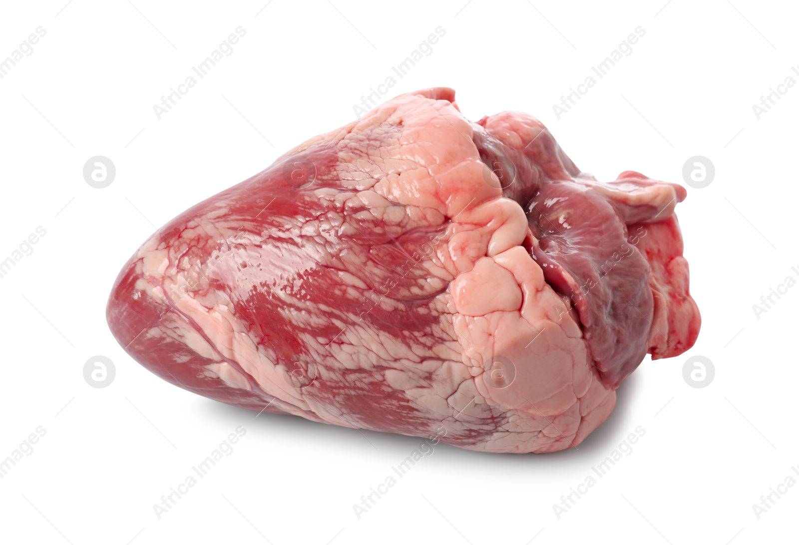 Photo of One raw pork heart isolated on white