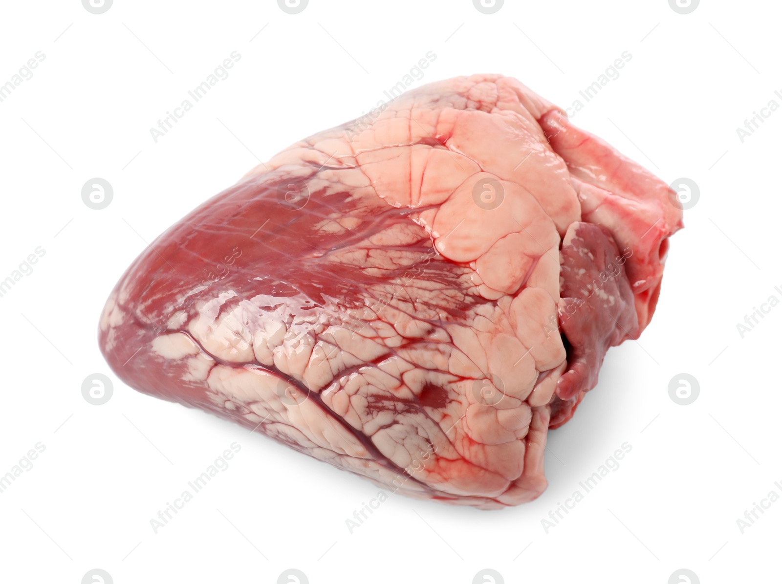 Photo of One raw pork heart isolated on white