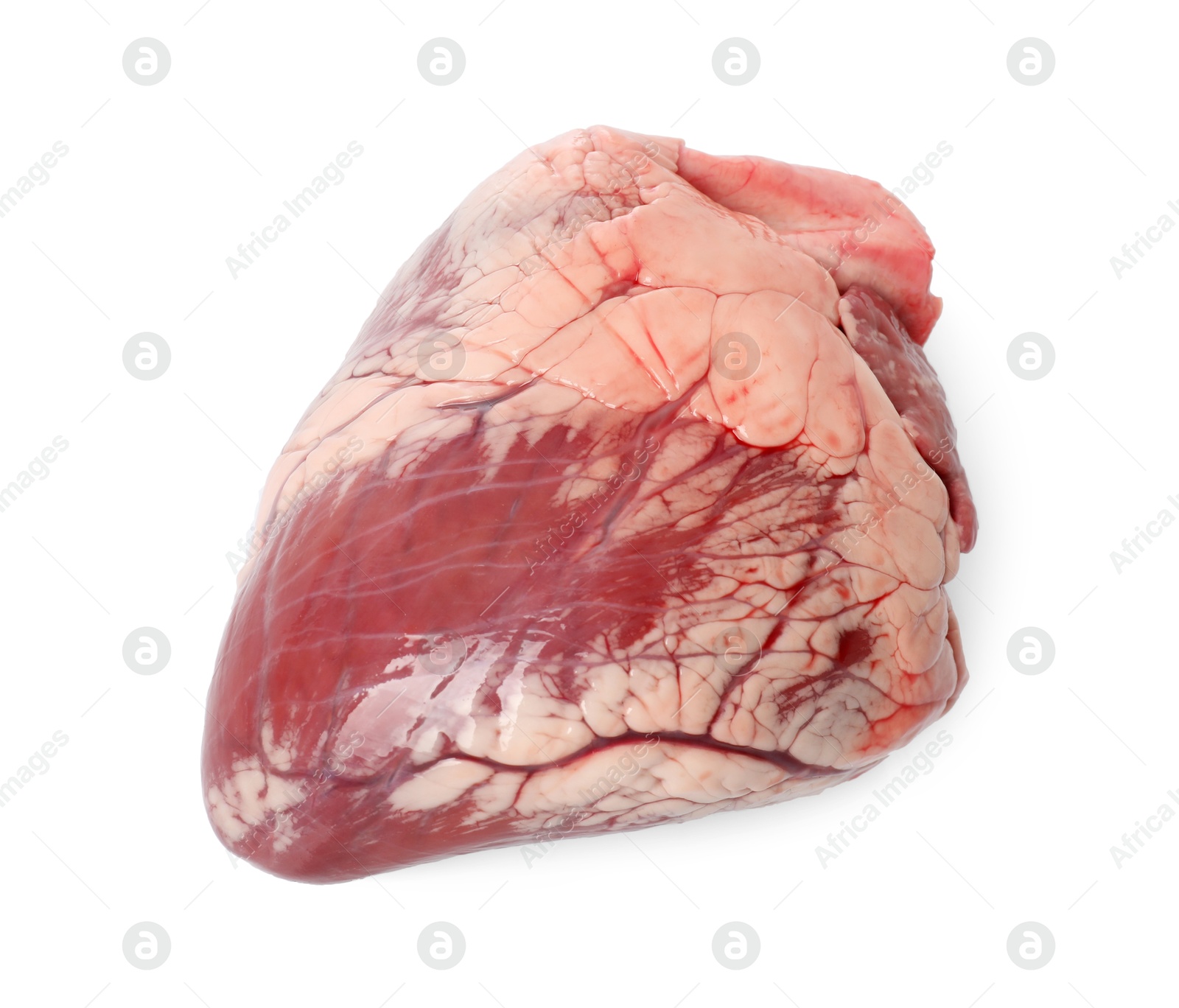 Photo of One raw pork heart isolated on white