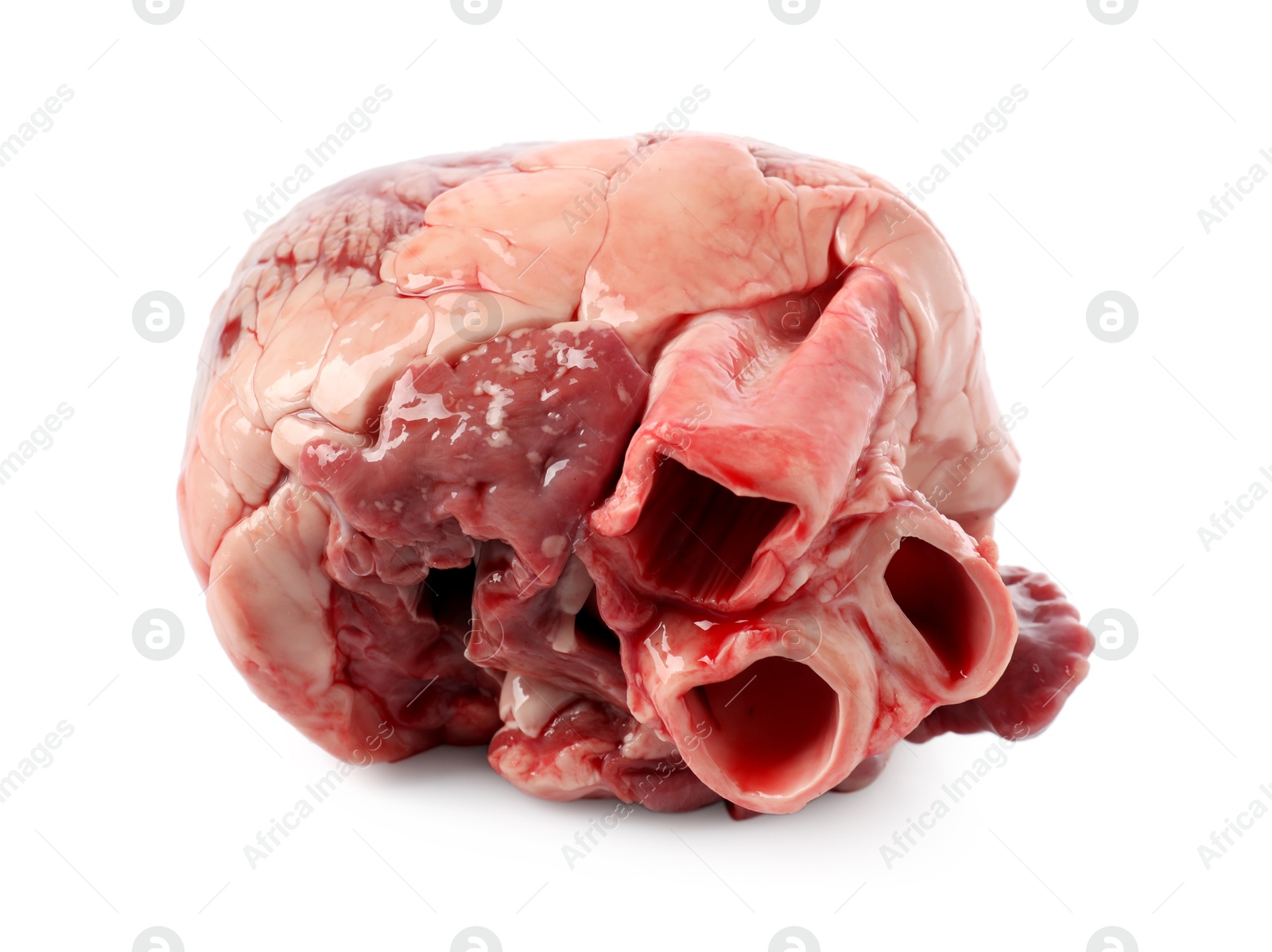 One raw pork heart isolated on white Photo of One raw pork heart isolated on white