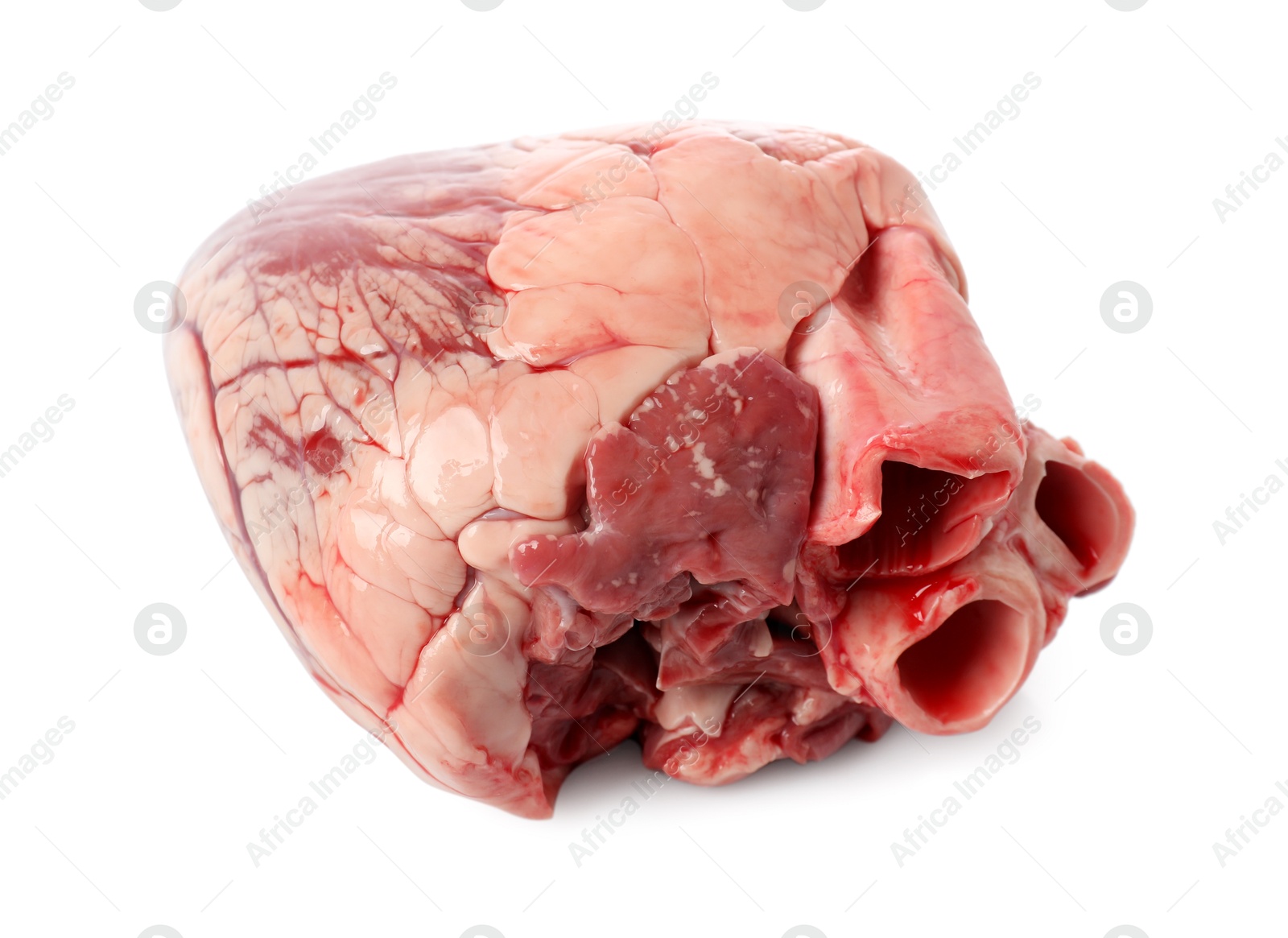 Photo of One raw pork heart isolated on white