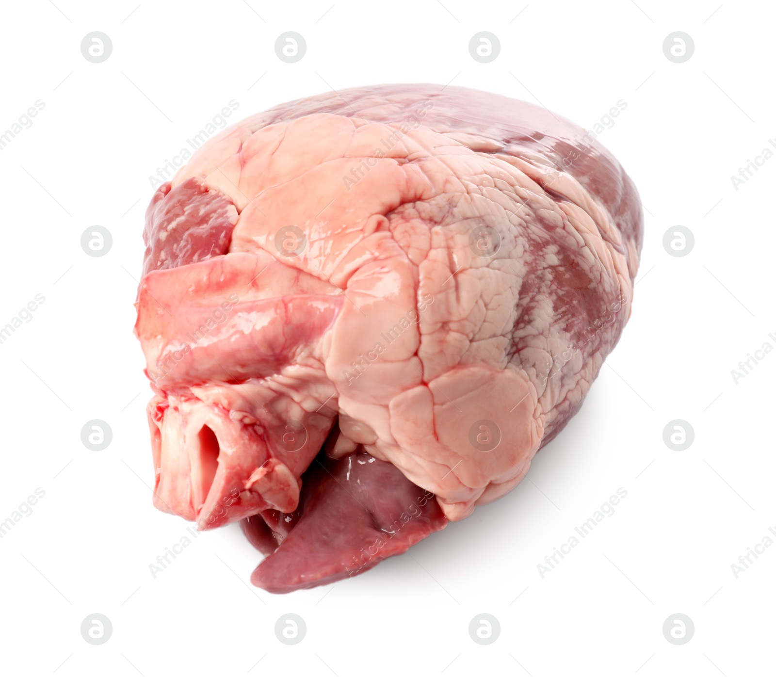 Photo of One raw pork heart isolated on white