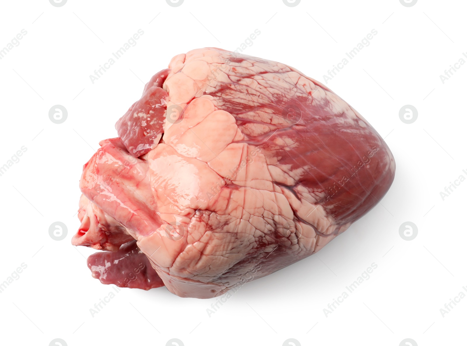 Photo of One raw pork heart isolated on white, top view