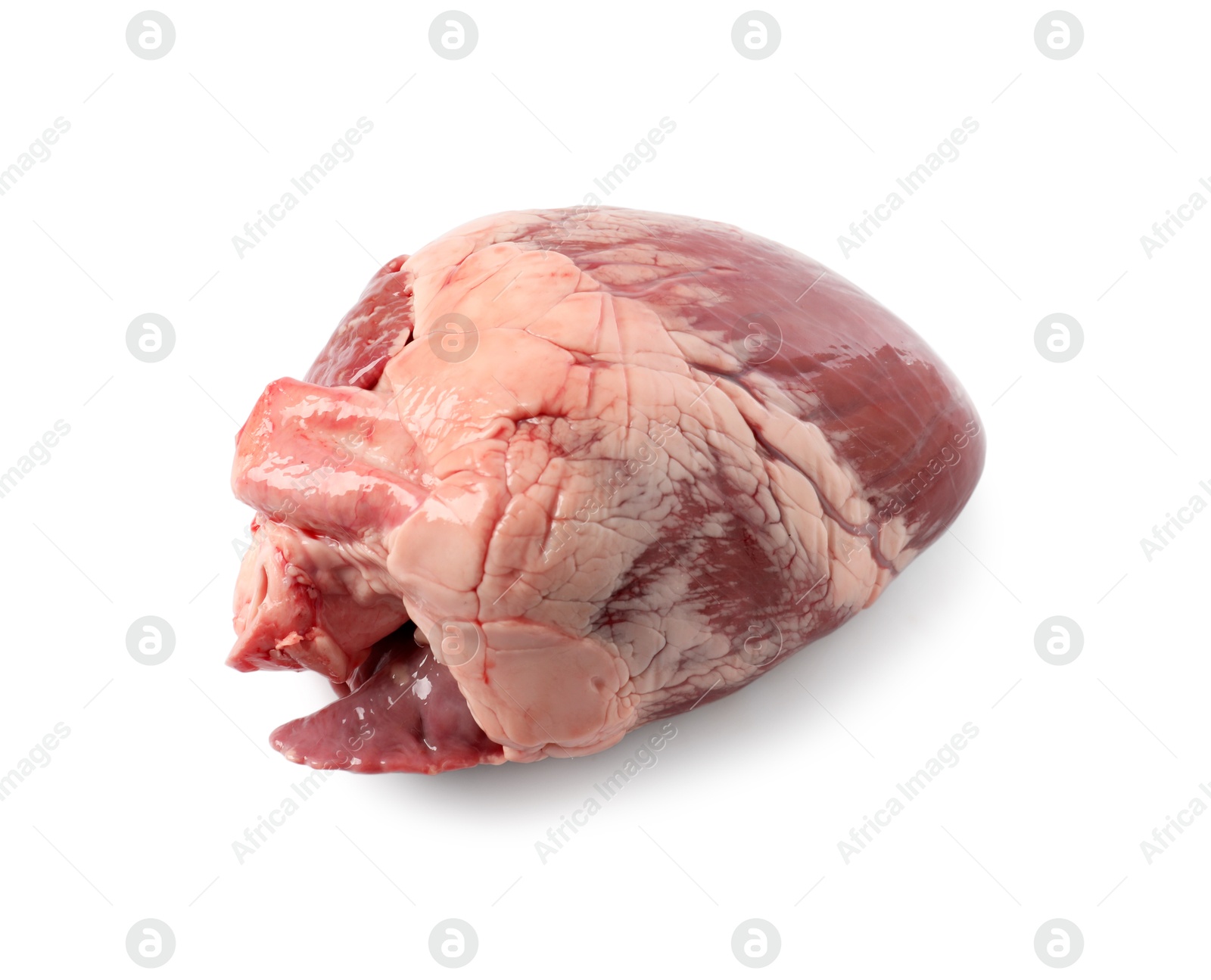 Photo of One raw pork heart isolated on white