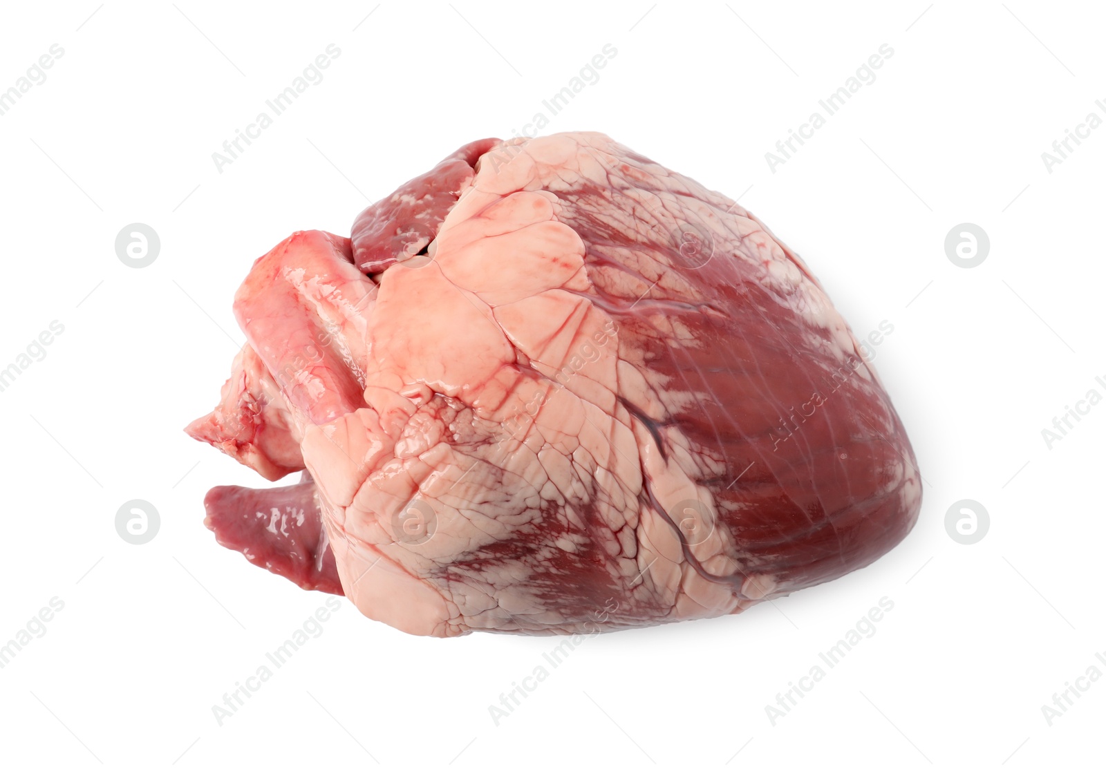 Photo of One raw pork heart isolated on white