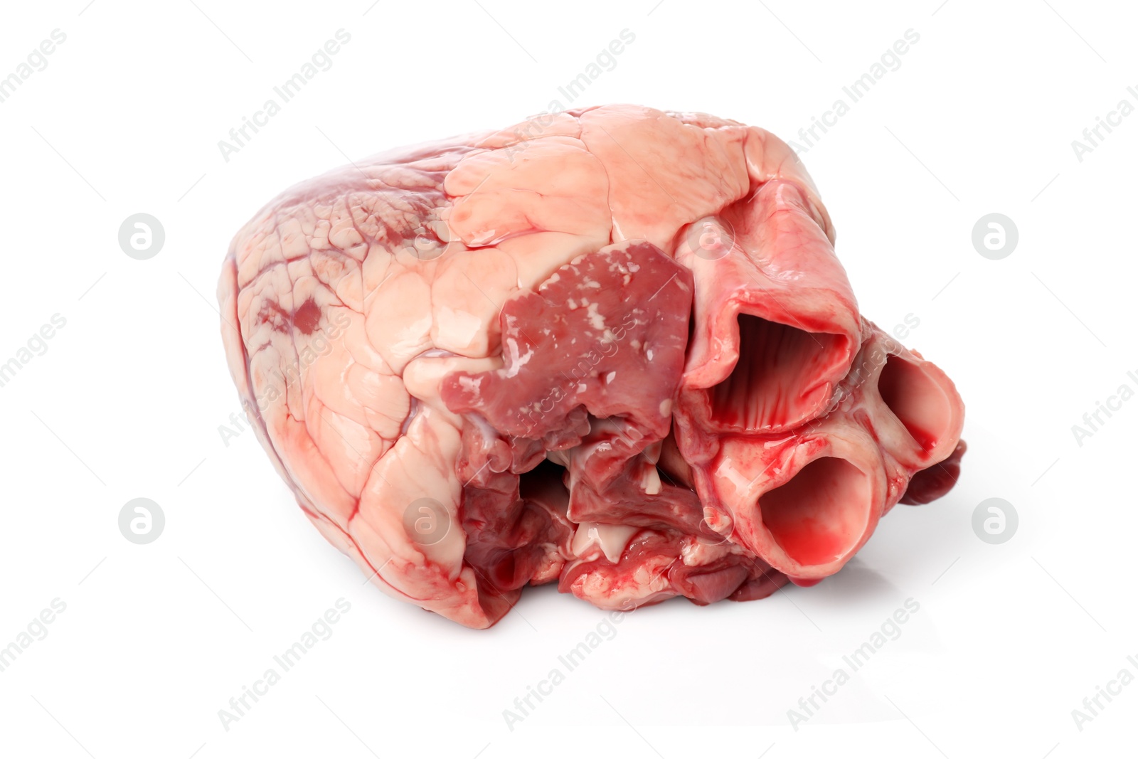 Photo of One raw pork heart isolated on white