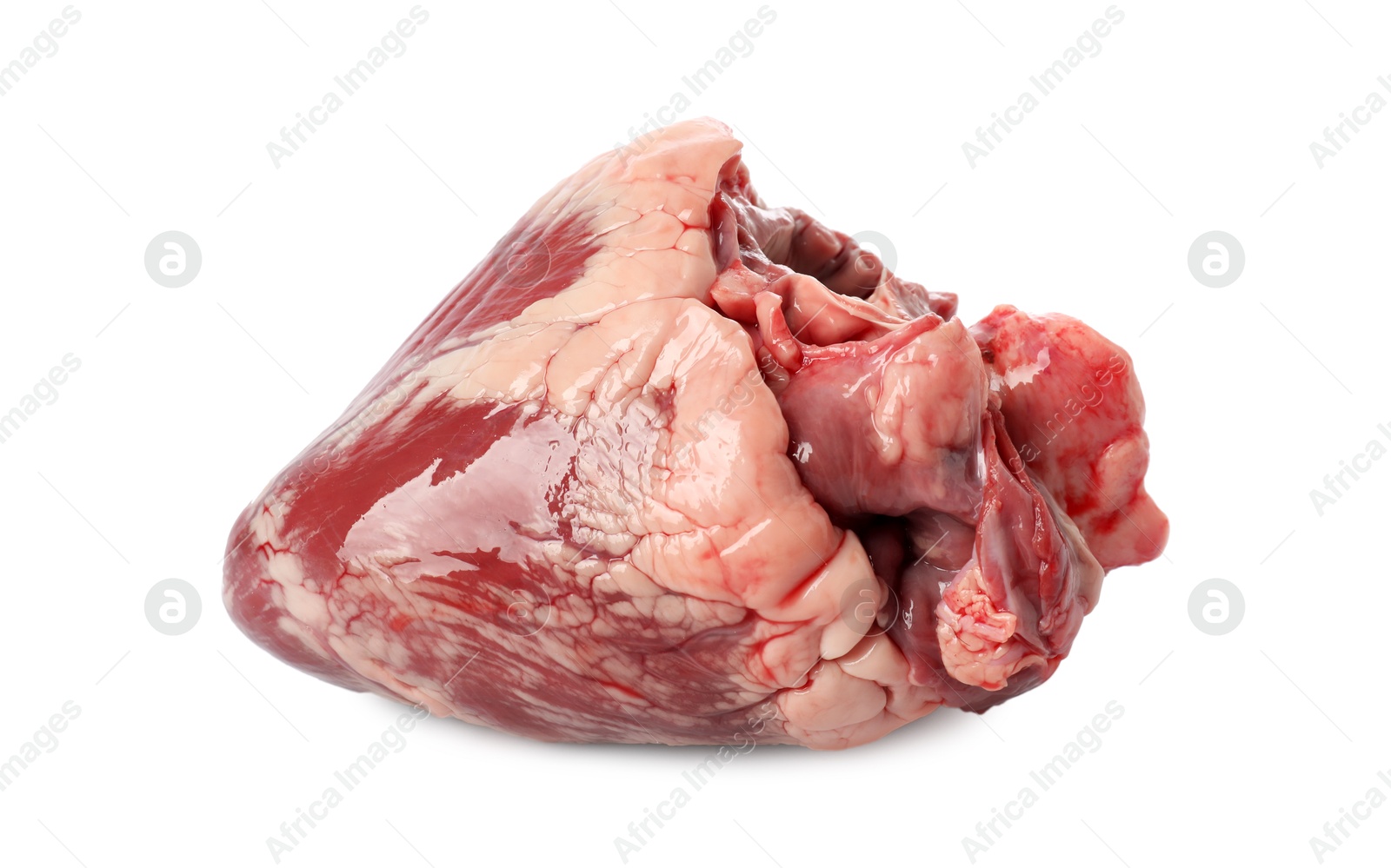 Photo of One raw pork heart isolated on white