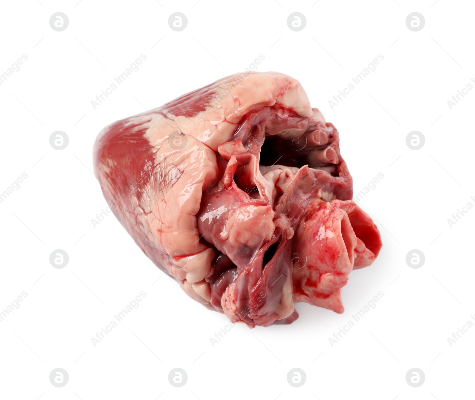 Photo of One raw pork heart isolated on white