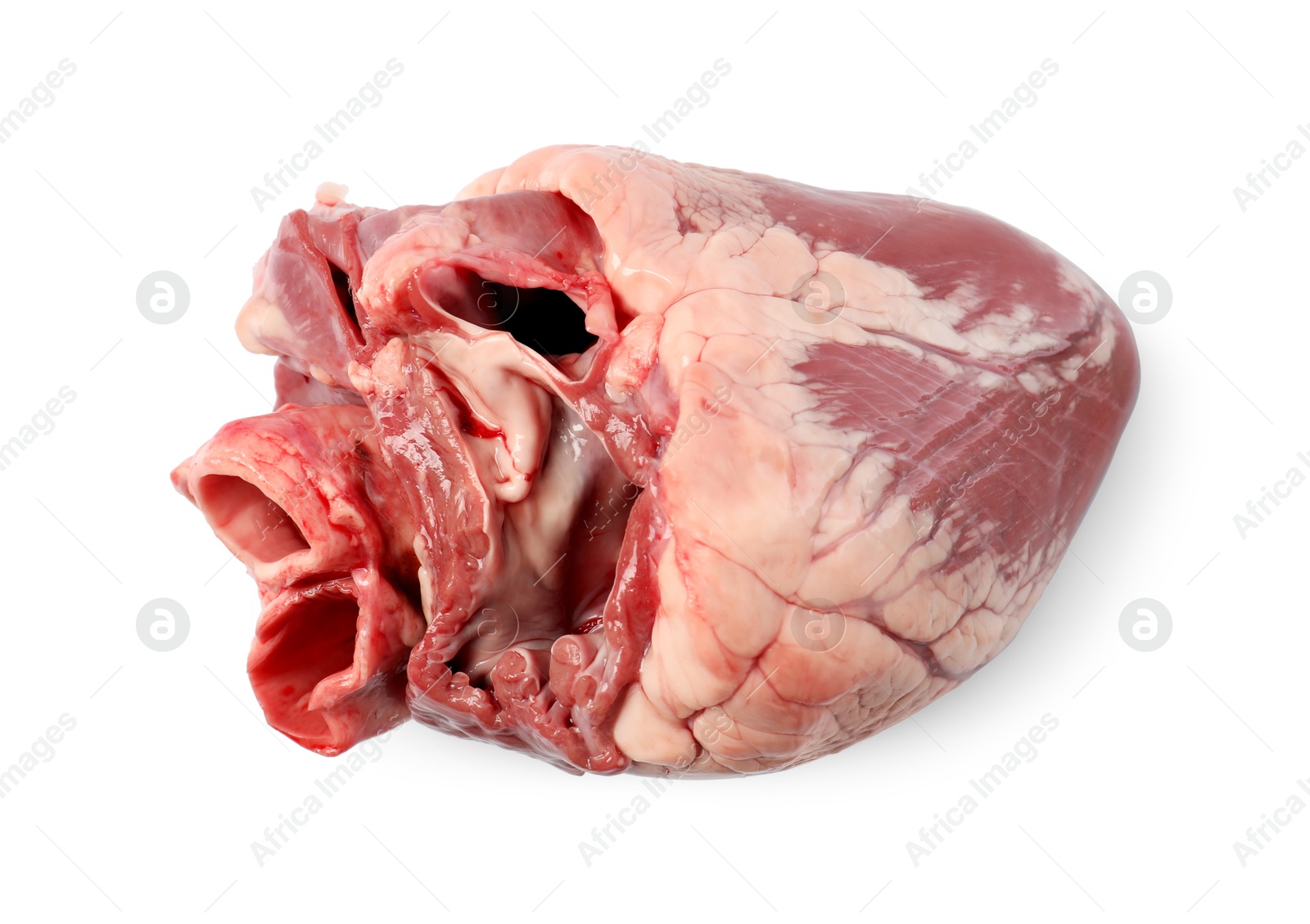 Photo of One raw pork heart isolated on white, top view