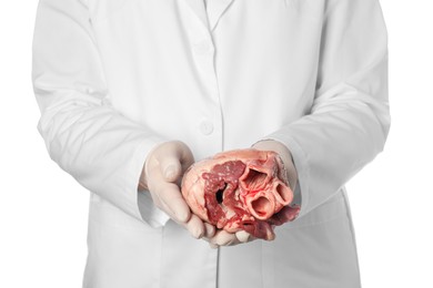 Doctor holding heart on white background, closeup