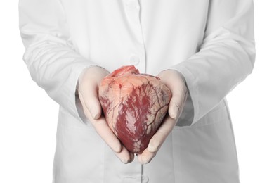 Doctor holding heart on white background, closeup