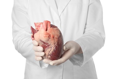 Photo of Doctor holding heart on white background, closeup