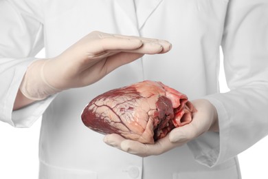 Photo of Doctor holding heart on white background, closeup