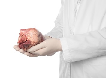 Photo of Doctor holding heart on white background, closeup